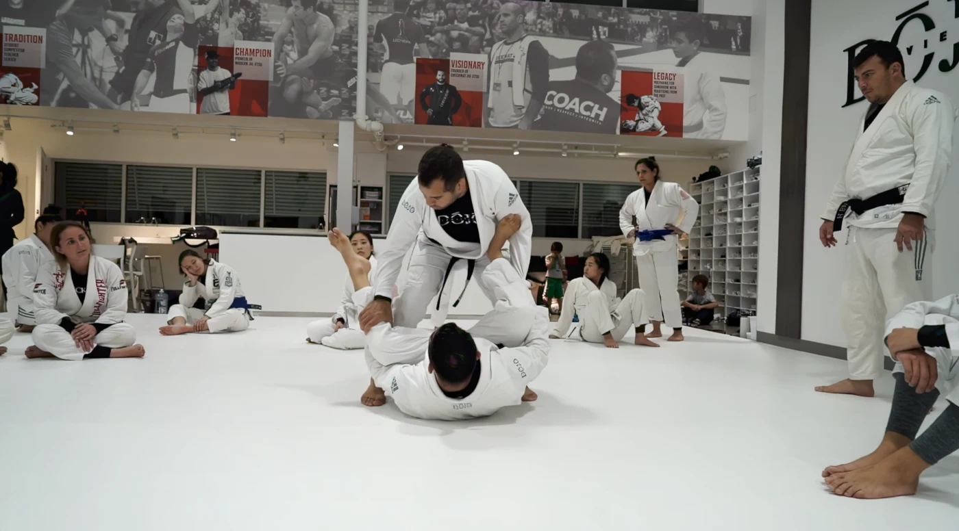 Dojo gallery photograph 1